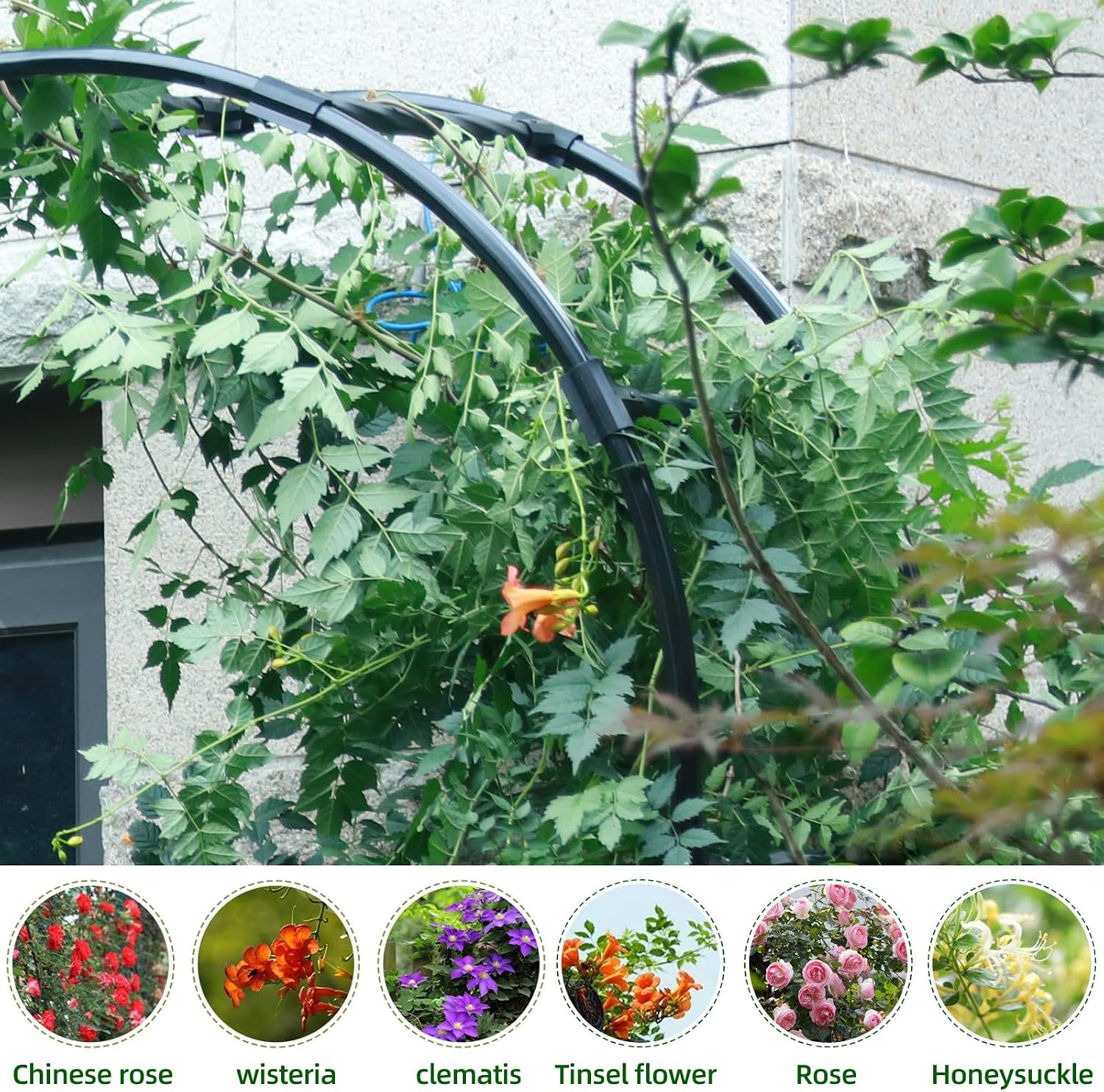 Half Arch Trellis - Garden Arch Trellis Size: 24in(L)*94.5in(H) | Garden Arch Arbor Trellis for Climbing Plants Outdoor