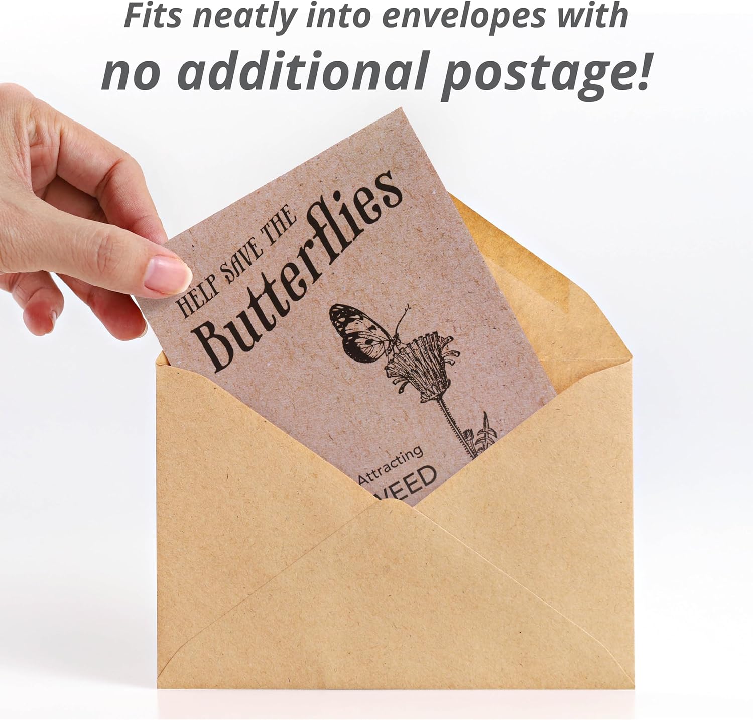 Bentley Seeds Co. Seed Packets for Planting - Party Favors for Indoors and Outdoors Gardening - Non GMO, Non-Coated