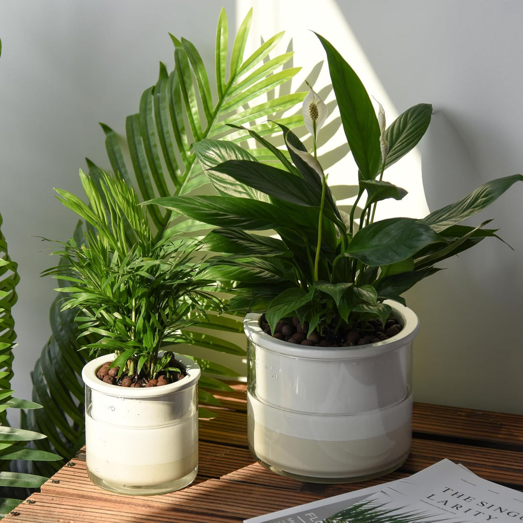 Phoenix Vine 6 Inch Self Watering Planter, Design White Terracotta Pot for Plants, Indoor Cylinder Terra Cotta Pot with