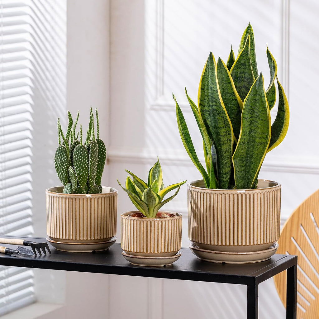 SURE YUESI Ceramic Plant Pots Set of 3, Indoor Outdoor Planters with Drainage Hole and Saucer, Ceramic Flower Pots for