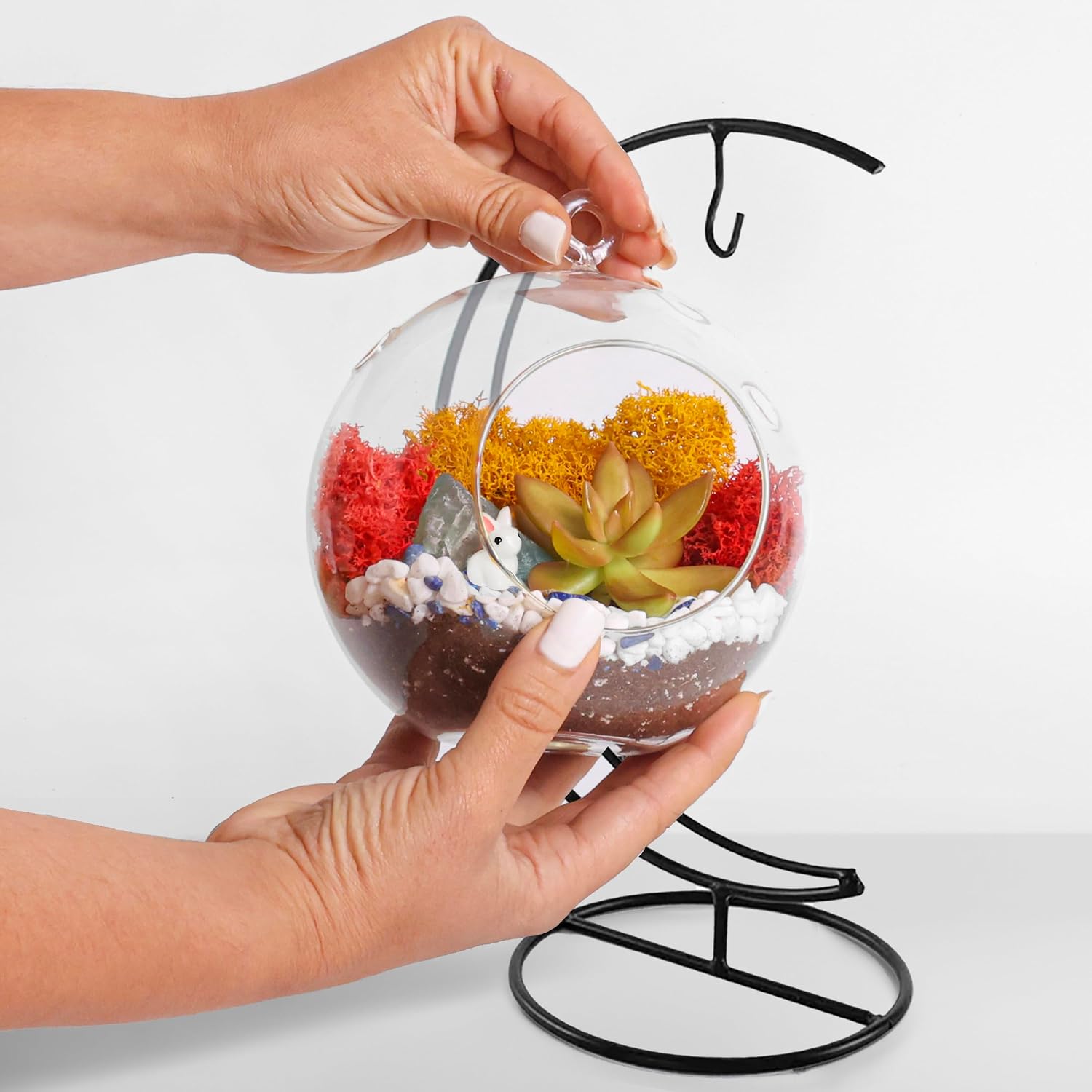 Creations by Nathalie - 5" Glass Globe Succulent Terrarium Kit, Hanging DIY Starter Kit for Kids and Adult, Metal