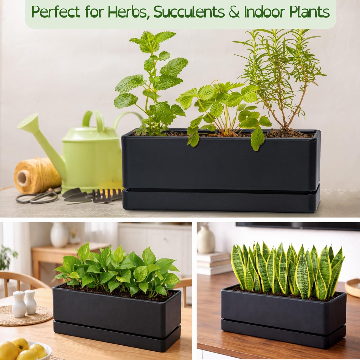 D'vine Dev 2-Pack Rectangular Planters, 12 x 4.5 in, Black, 76-X-B-2 | Minimalist Design, Large Planting Capacity