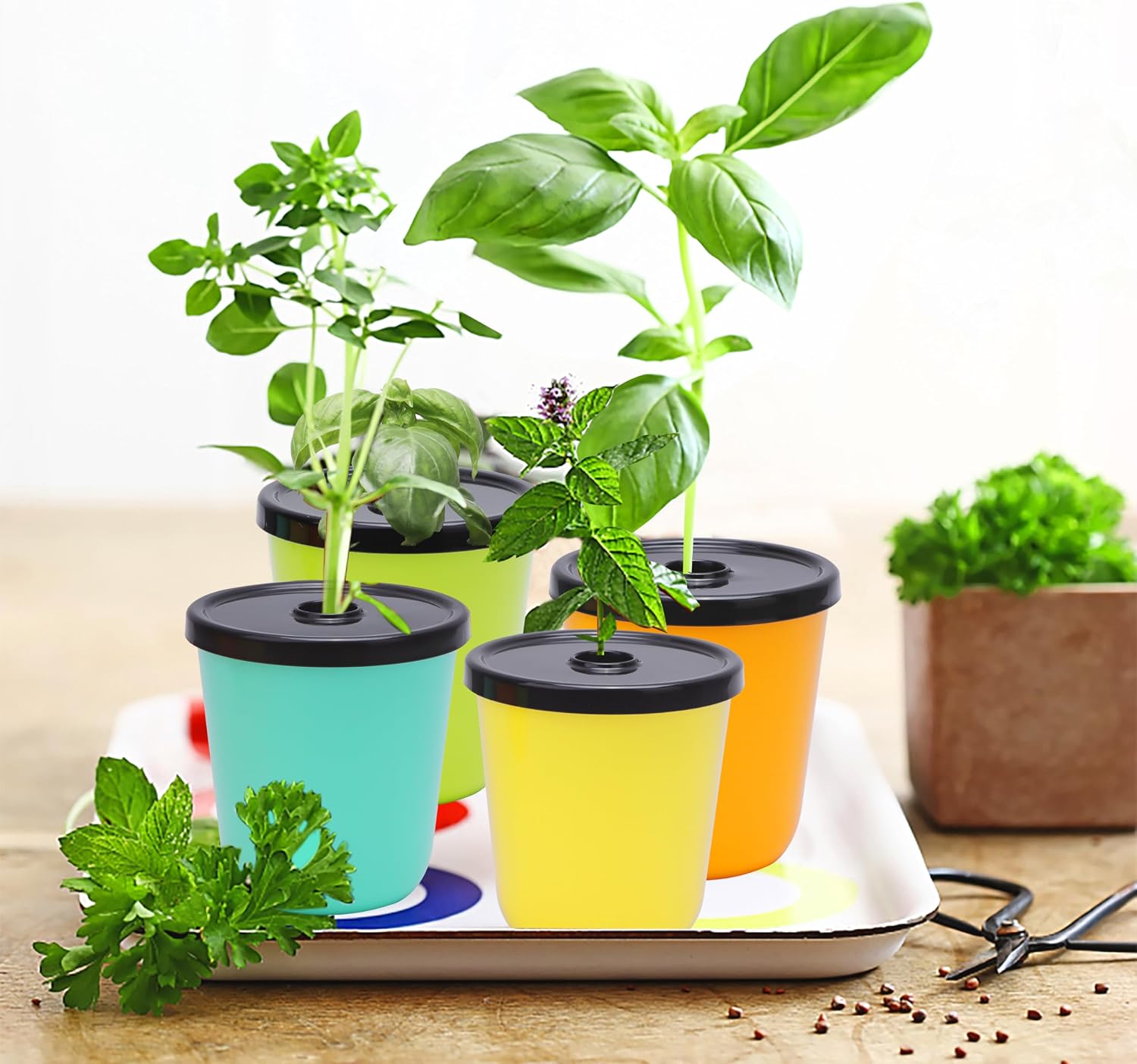 Kratky Method Hydroponic Planter Kit, 8 Hydroponic Planter Plus 24 Growing Sponges for Herbs, Hydroponic Mini Buckets