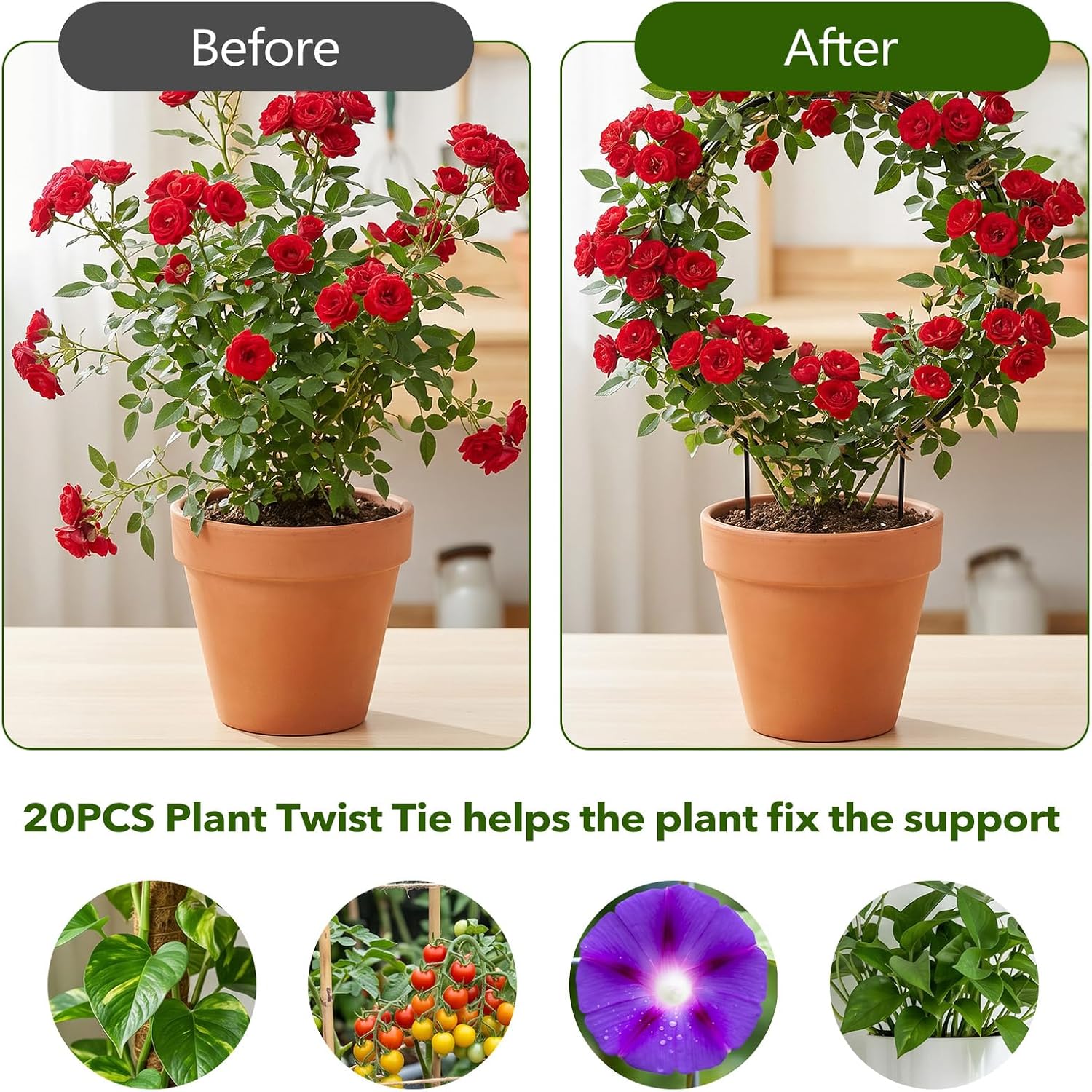 20 Pack 14.2x10.2 Inch Round Hoya Trellis Plant Trellis for Indoor Potted Plants Black Iron Small Plant Support for
