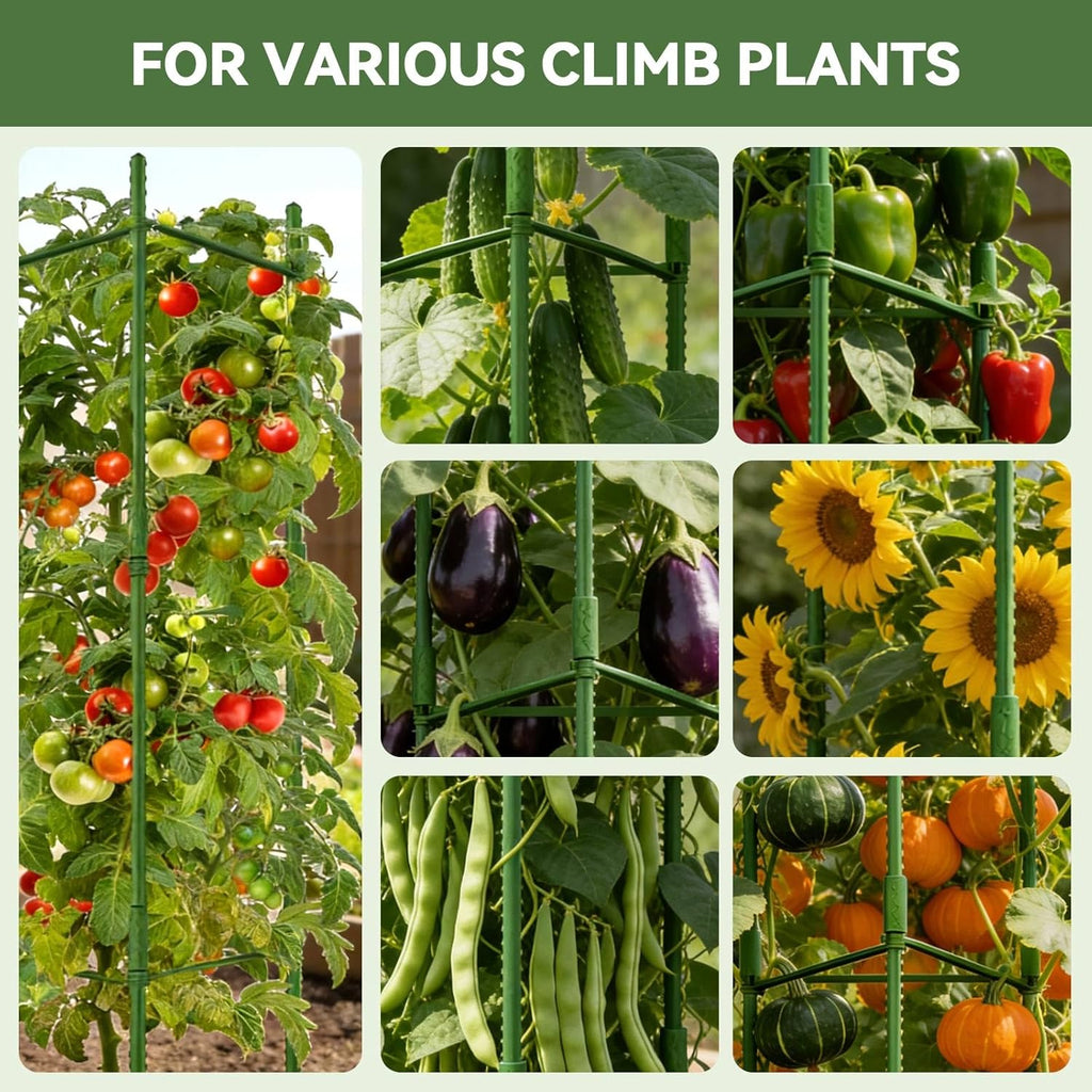 Halatool 6 Pack Tomato Cages for Garden, Up to 63 inch(5.2FT) | Adjustable Tall Garden Stakes Tomato Trellis for Pots