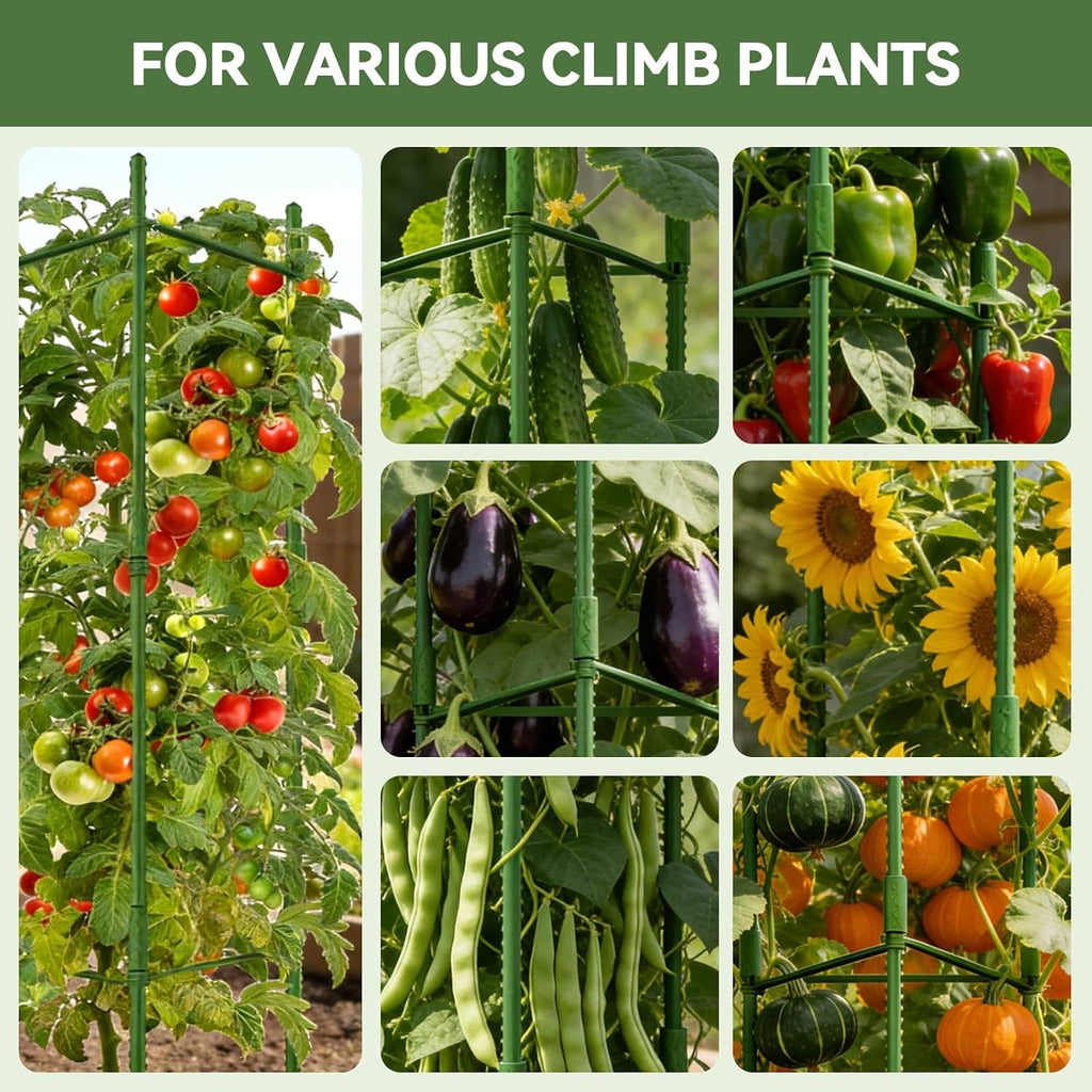 Halatool 6 Pack Tomato Cages for Garden, Up to 48in (4FT) Trellis | Adjustable Garden Stakes Tomatoe Trellis for Pots