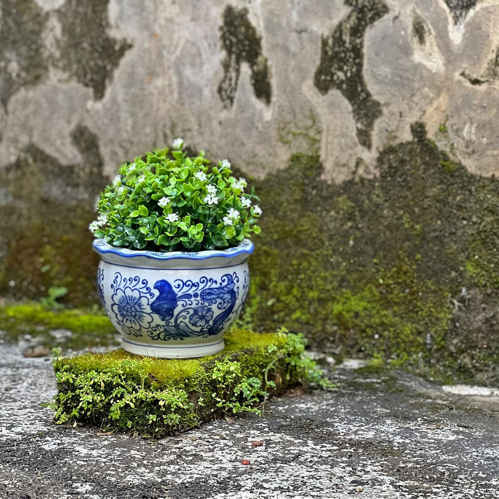 HakkaGirl Blue and White Planters, Succulent Pots Ceramic Plant Pots Indoor with Drainage for Home Décor - Set of 3