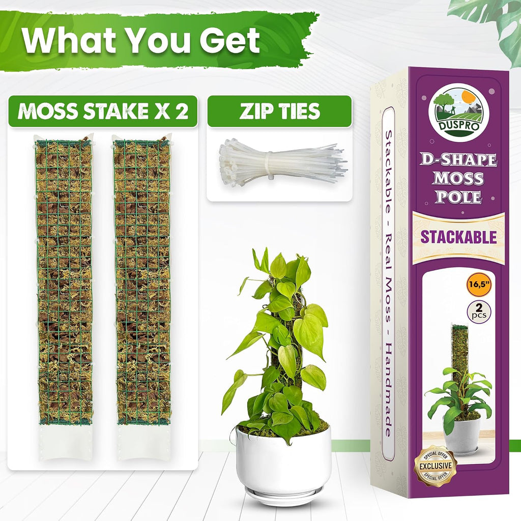 2 Pack 16.5" D-Shaped Plastic Stackable Moss Poles | Extendable Up to 30", Pre-Made & Easy To Set Up, Moss Pole for
