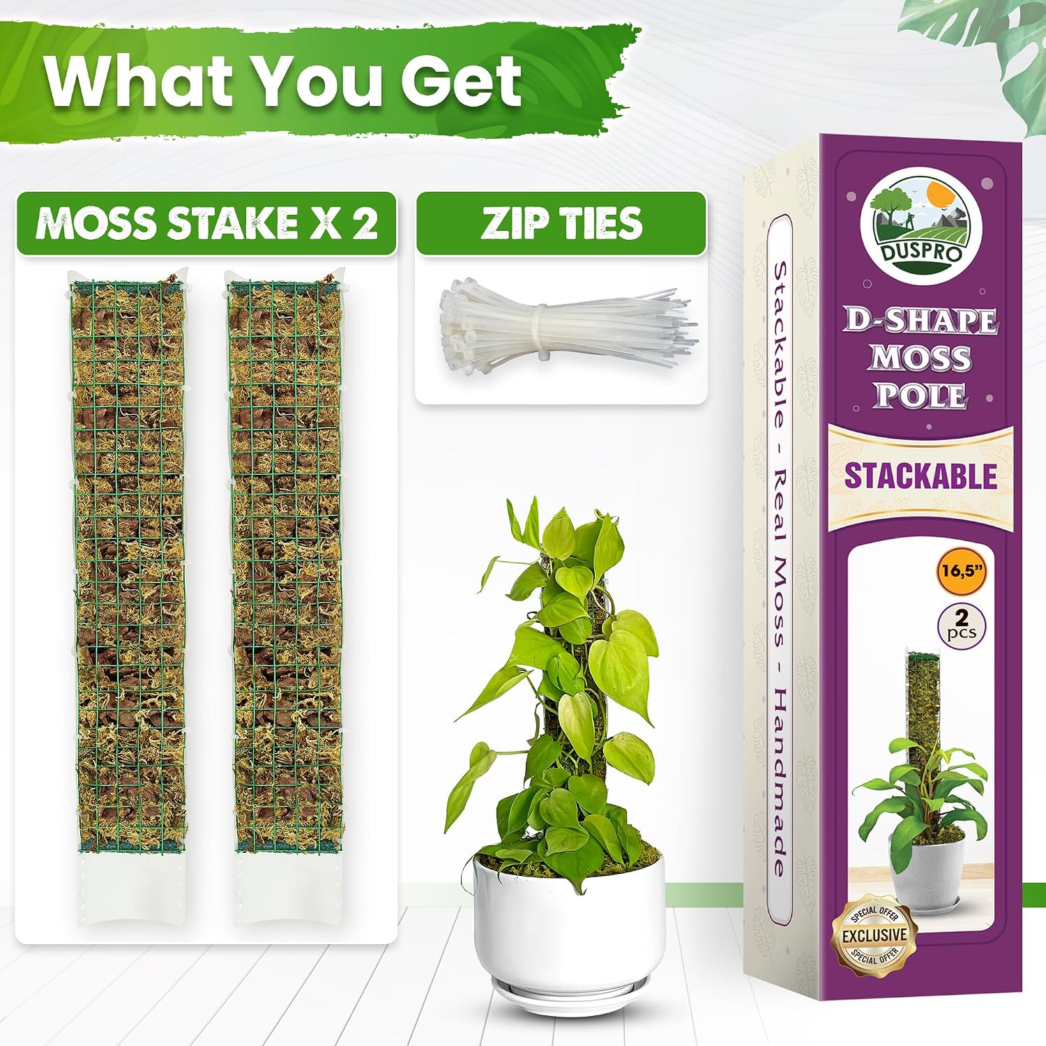 2 Pack 16.5" D-Shaped Plastic Stackable Moss Poles | Extendable Up to 30", Pre-Made & Easy To Set Up, Moss Pole for