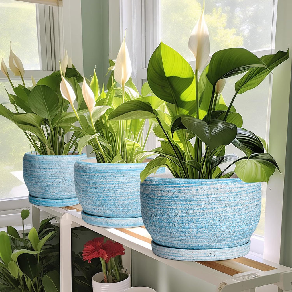 SQOWL Ceramic Planter - 8 inch Pot for Plants Indoor Outdoor, Modern Ceramic Flower Pot with Drainage Hole and Saucer