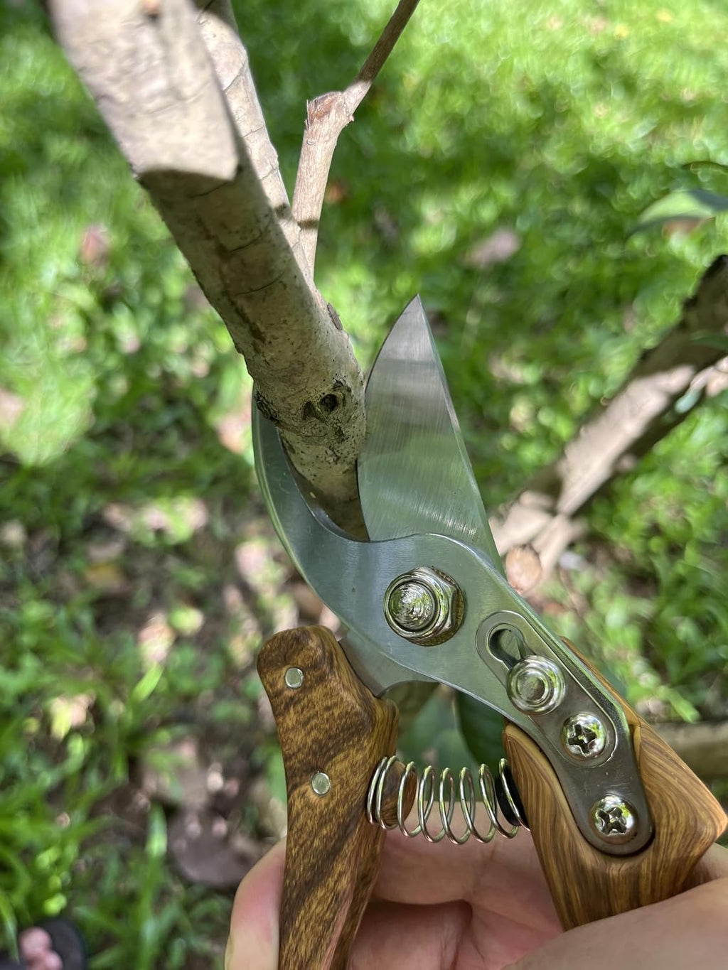 Branch Trimmer, Japanese Bonsai Trimming Scissors, Garden Clippers Handheld, Ergonomic Gardening Tools, Floral Shears