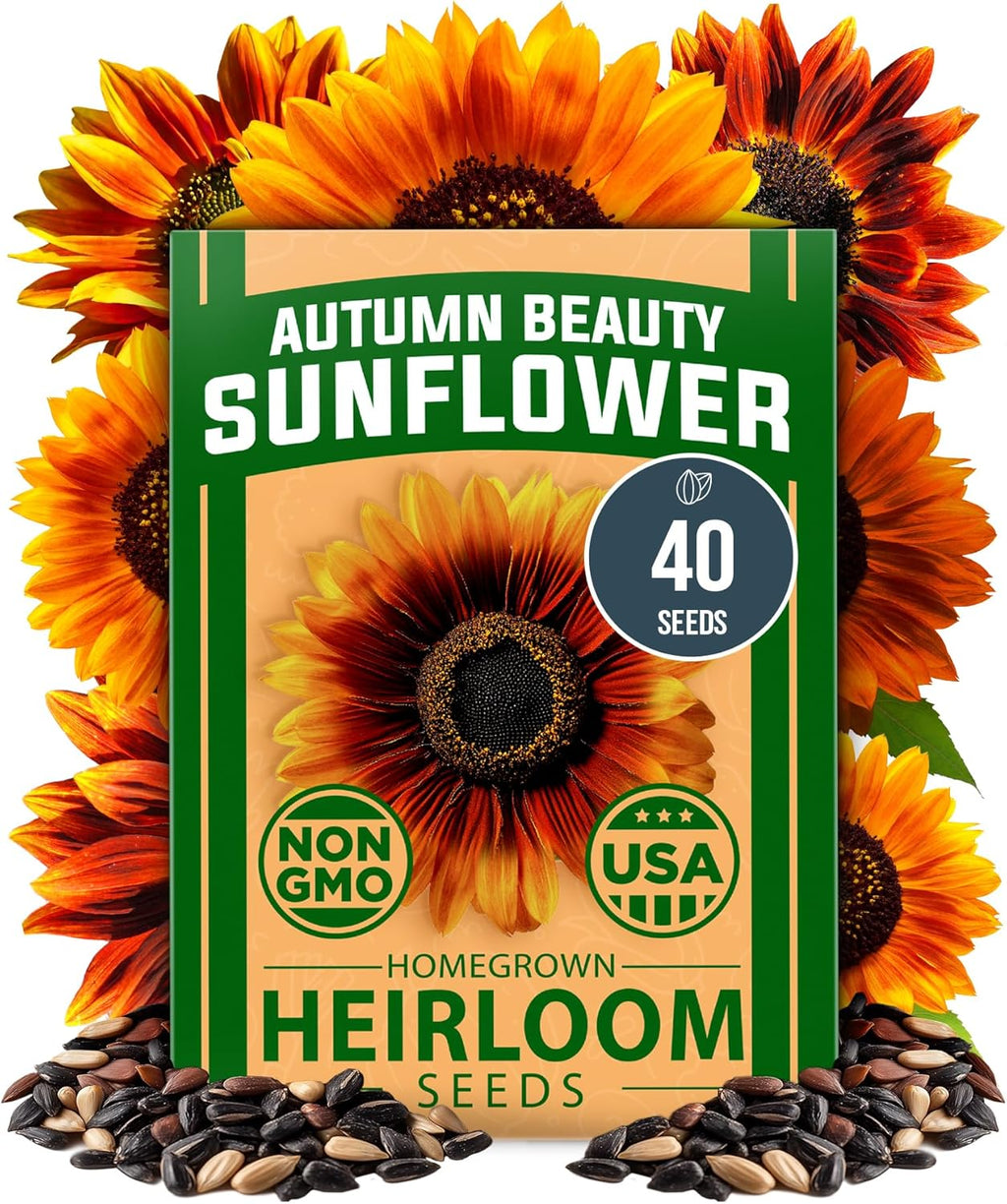 HOME GROWN Zinnia Seeds, Will Rogers, 150 Seeds, Zinnia elegans
