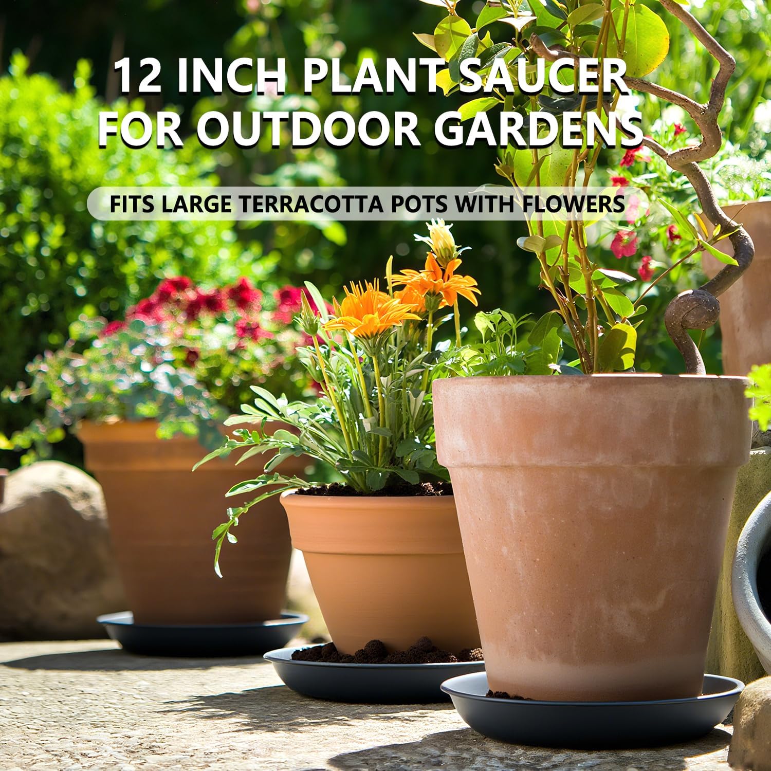 6 Pack 12 Inch Gray Plant Saucers, Heavy Duty PP Water Catcher Trays | Large Water Catcher Saucers for Indoor & Outdoor
