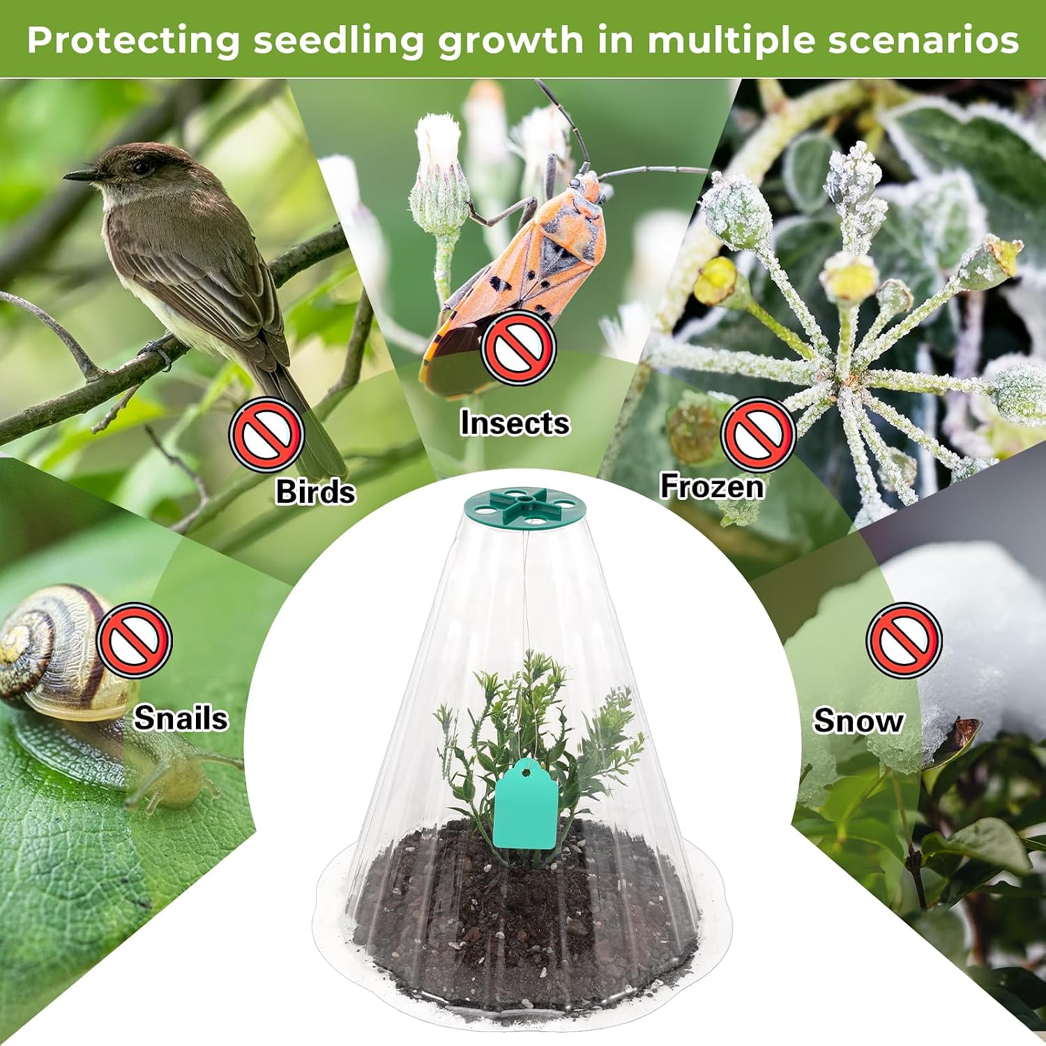 Cloches for Plants, Transparent Plant Covers, Garden Cloches with Humidity Domes, Securing Pegs and Plant Labels