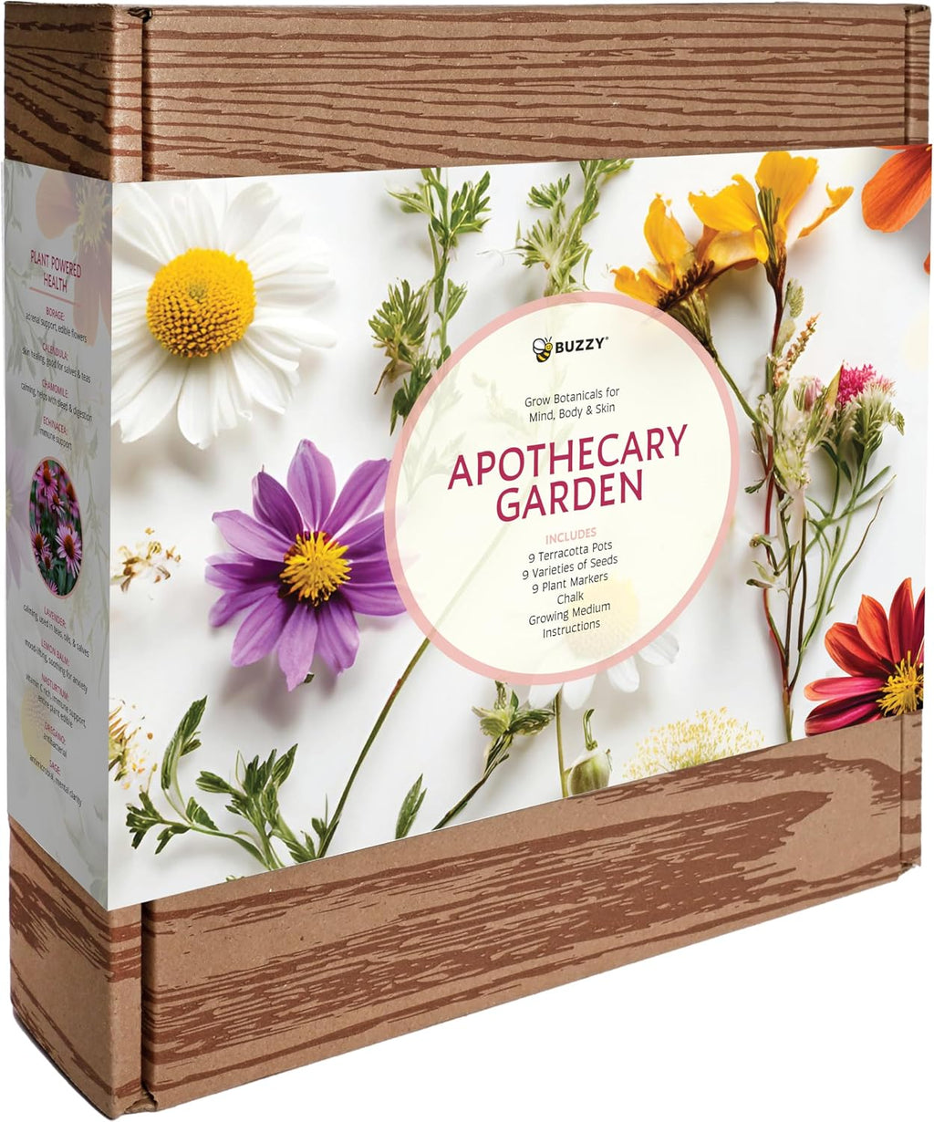 Buzzy Seeds Apothecary Garden Wellness Kit - Mini Terracotta Pot Grow Set - Complete Indoor/Outdoor Gardening Kit with
