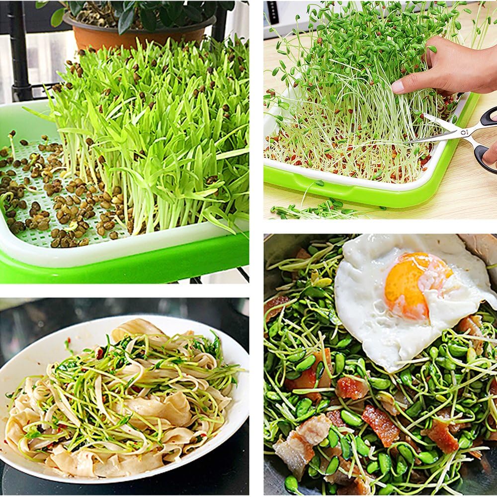 4 Layers Sprout Trays with Extra Strength Plastic Shelf Soil-Free Healthy Wheatgrass Seeds Grower & Storage Trays for