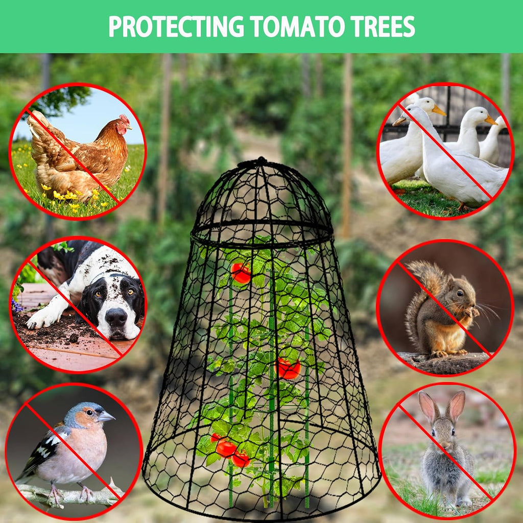 Garden Cloches for Plants Extra Large Sapbontchi Garden Cloche Chicken Wire Cloche for Plants Cages Cover Plant