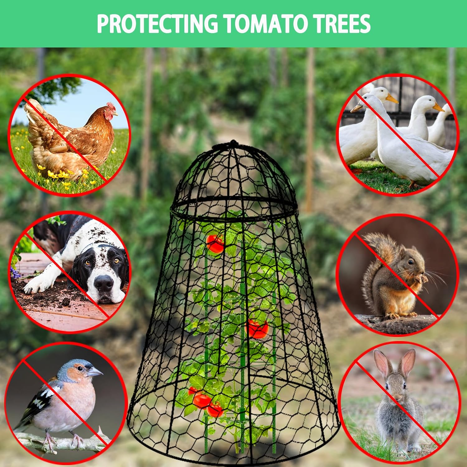 Garden Cloches for Plants Extra Large Sapbontchi Garden Cloche Chicken Wire Cloche for Plants Cages Cover Plant