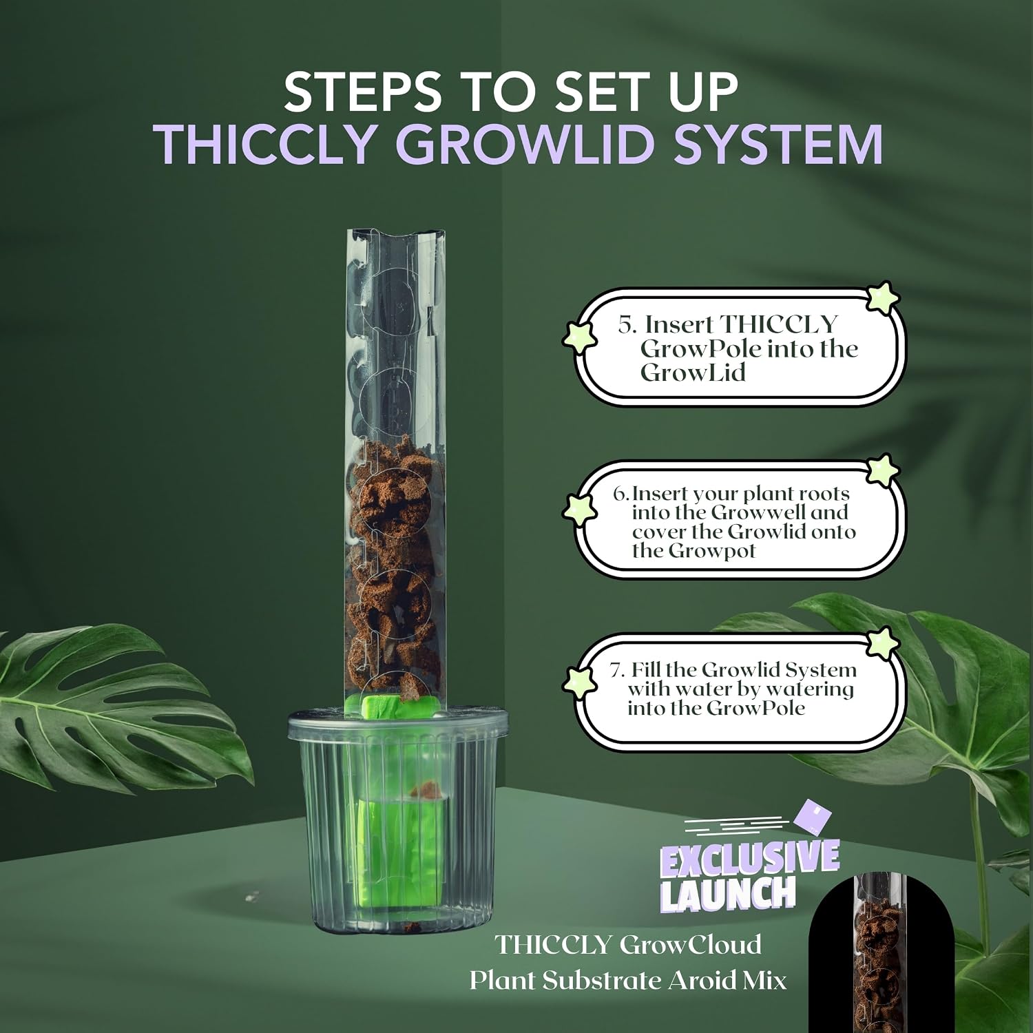 THICCLY Small GrowLid 10 Pcs (Clear) - Self Watering Clear D-Shaped Plastic Moss Pole Hydroponics Growing System Kratky