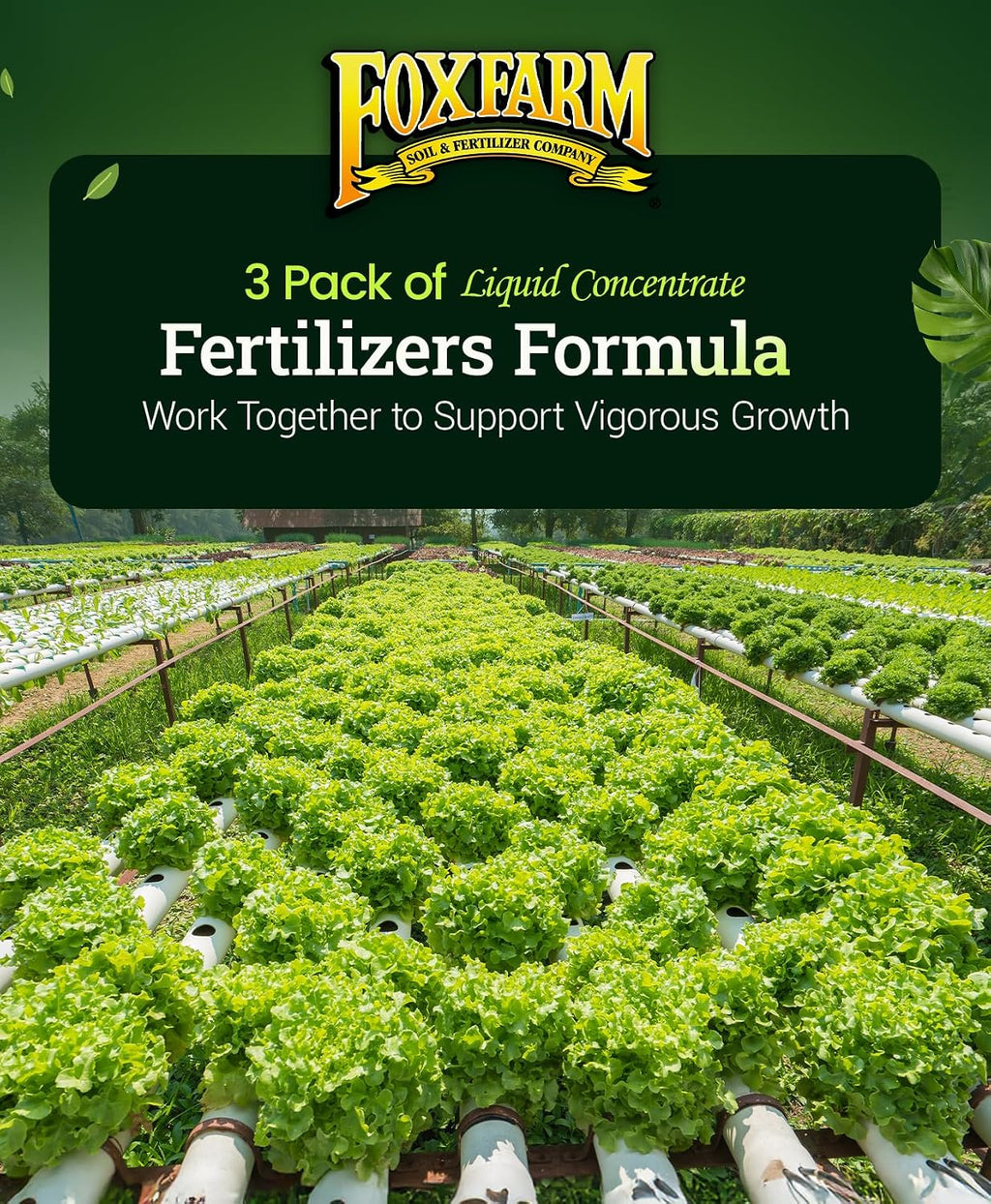 FoxFarm Hydro Liquid Trio Pack - Big Bloom, Grow Big Hydroponic, Tiger Bloom Fertilizers for Plant Growth, Bud