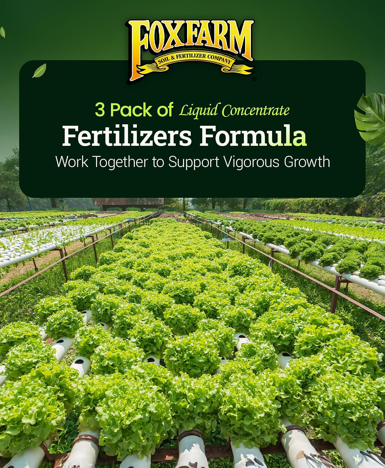 FoxFarm Hydro Liquid Trio Pack - Big Bloom, Grow Big Hydroponic, Tiger Bloom Fertilizers for Plant Growth, Bud