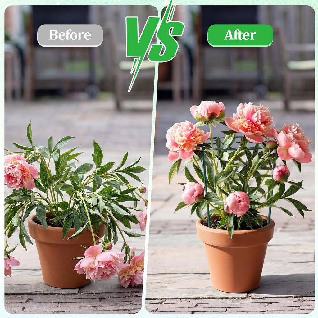 Novabright 1 Pcs 24" H x 20" D Large Peony Cage and Support Grow Through Plant Supports Round Garden Flower Stake