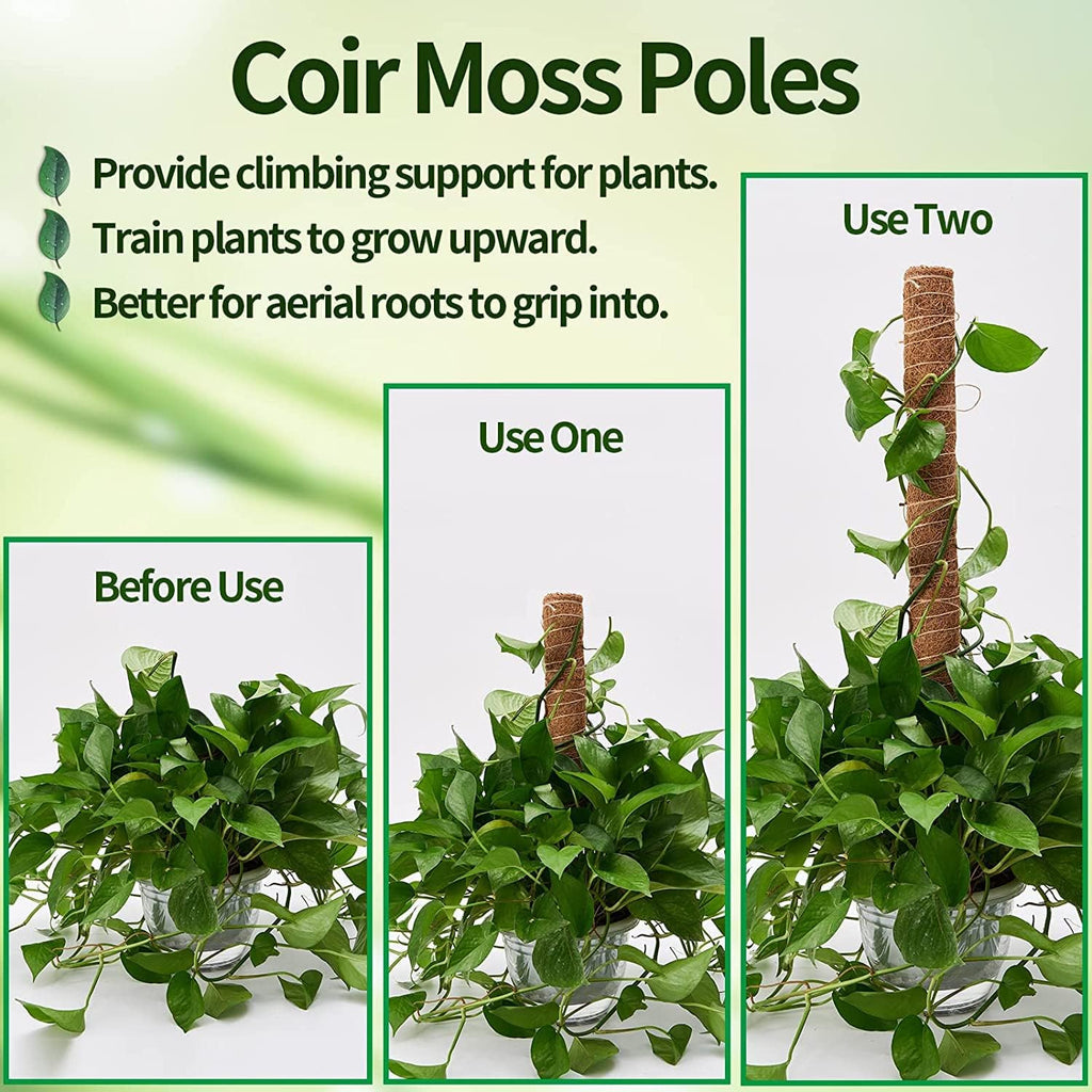 Eibikdi 101in Moss Pole for Plants Monstera 8 Pcs | Plant Support Stakes for Indoor Climbing Plants Grow Upwards, 65ft