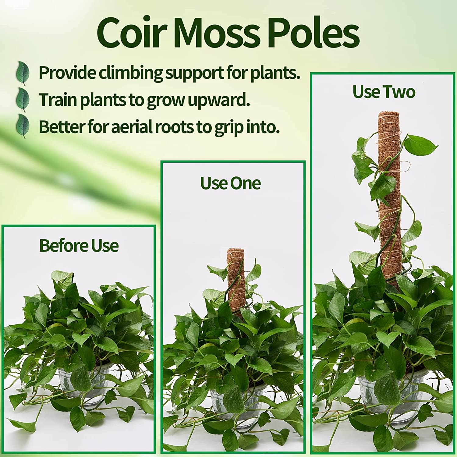 Eibikdi 101in Moss Pole for Plants Monstera 8 Pcs | Plant Support Stakes for Indoor Climbing Plants Grow Upwards, 65ft
