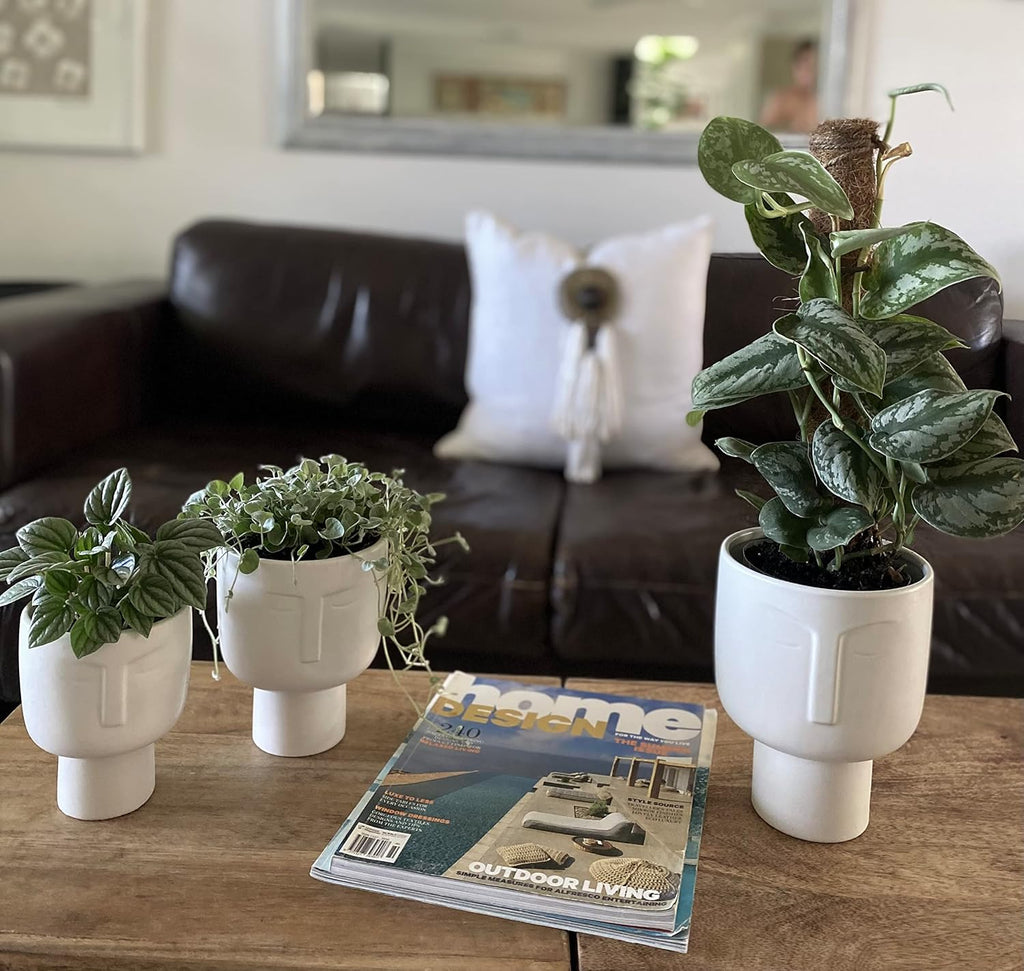Planters for Indoor Plants - Tall 7 Inch Ceramic Self Watering Pots Matte White Plant Pot with Drainage & Inner Pot