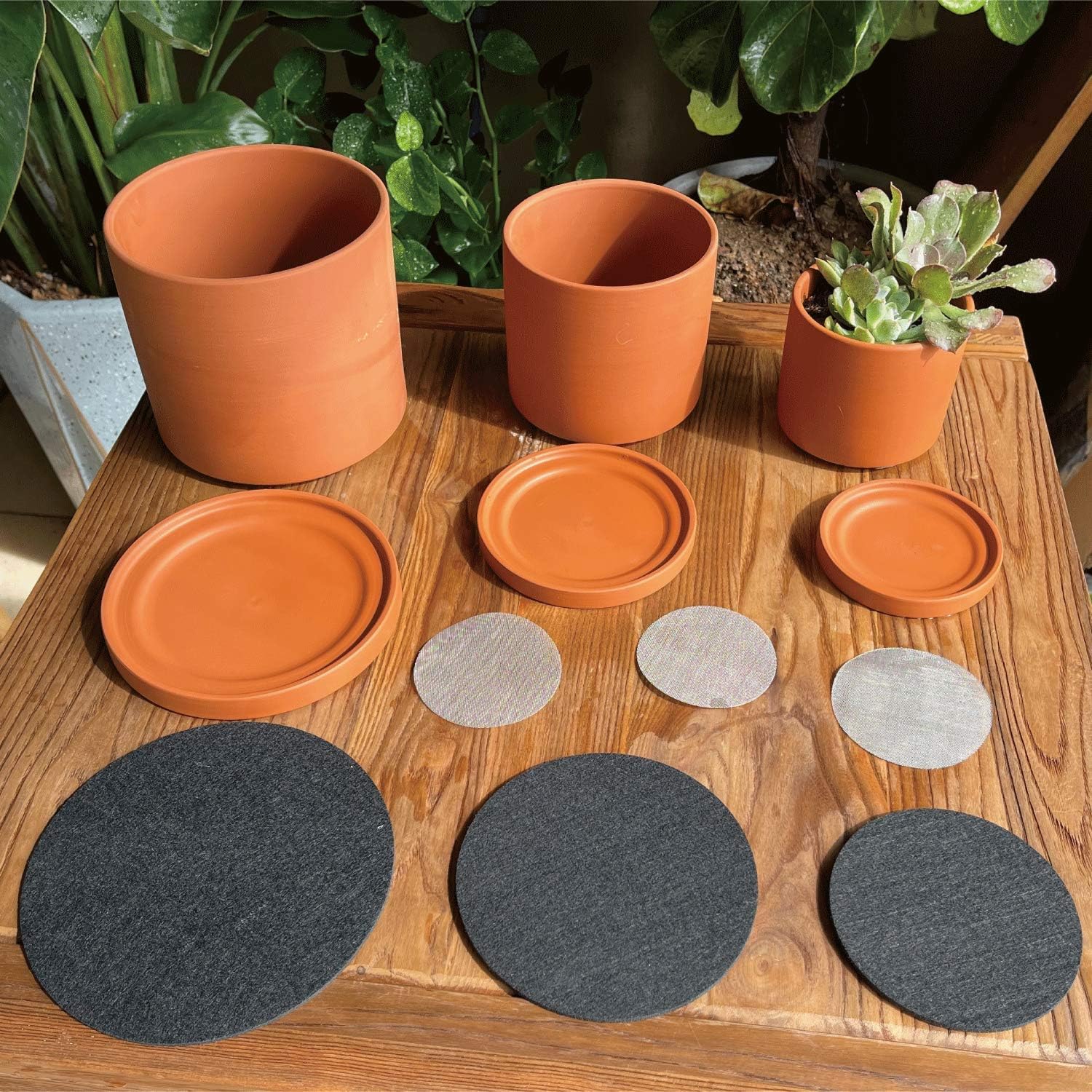D'vine Dev 3-Pack Classic Terracotta Pots & Saucers, 4/5/6 in, 40-T-A-0 | Cylinder Shape, Timeless Style, Unglazed