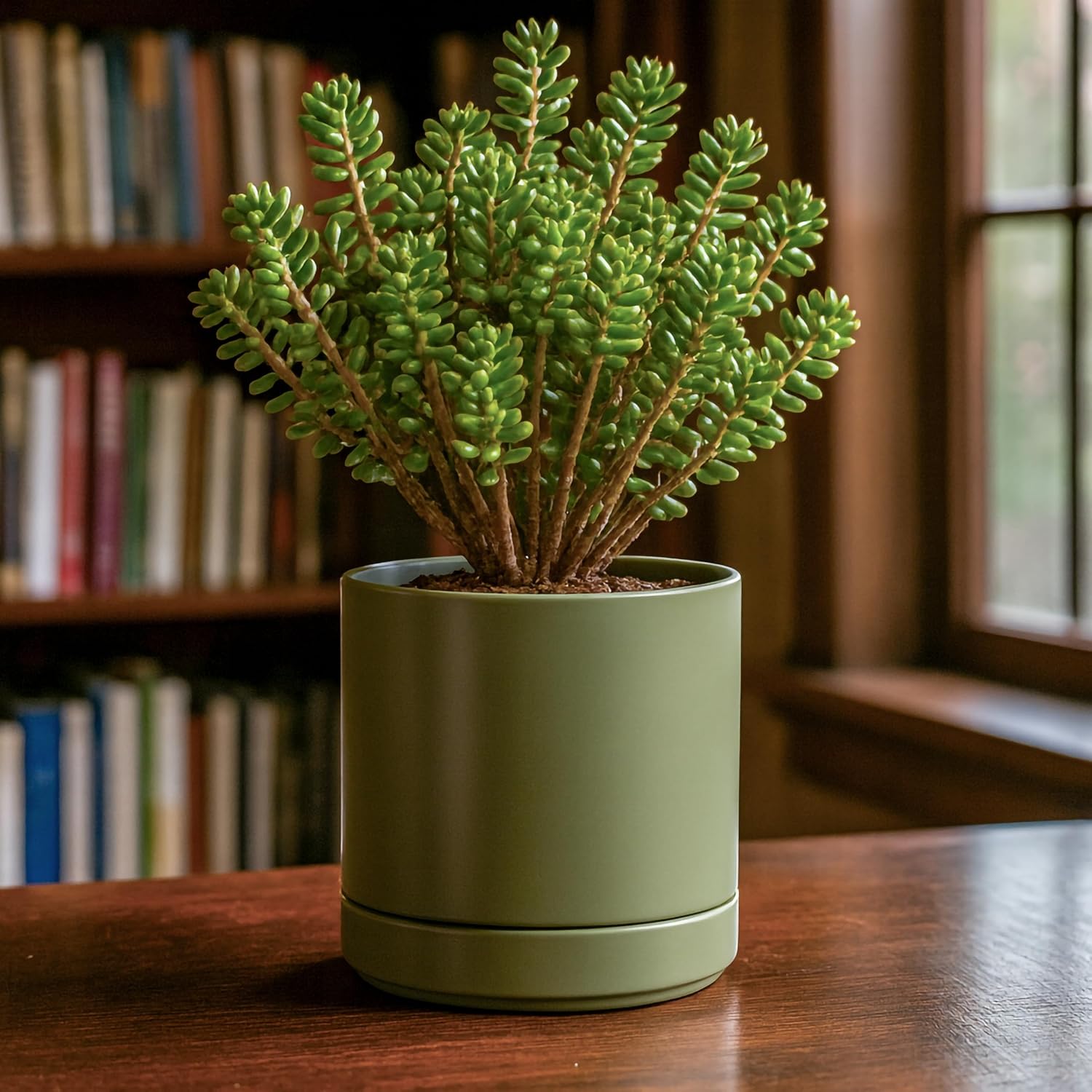 D'vine Dev 6.5 Inch Ceramic Planter Pot, Olive, 94-O-C-J | Modern Cylinder Design, Drainage Hole & Saucer Included