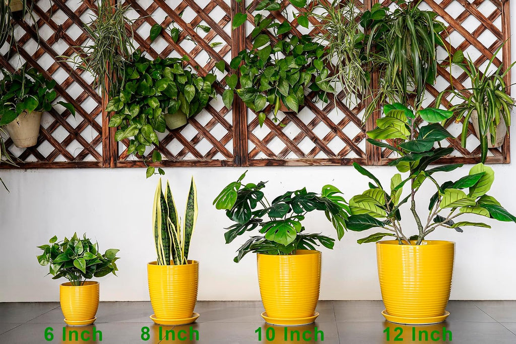 Ceramic Pots for Plants - 6 Inch Plant Pot for Indoor Plants, Ceramic Planter with Drainage Hole and Saucer, Round