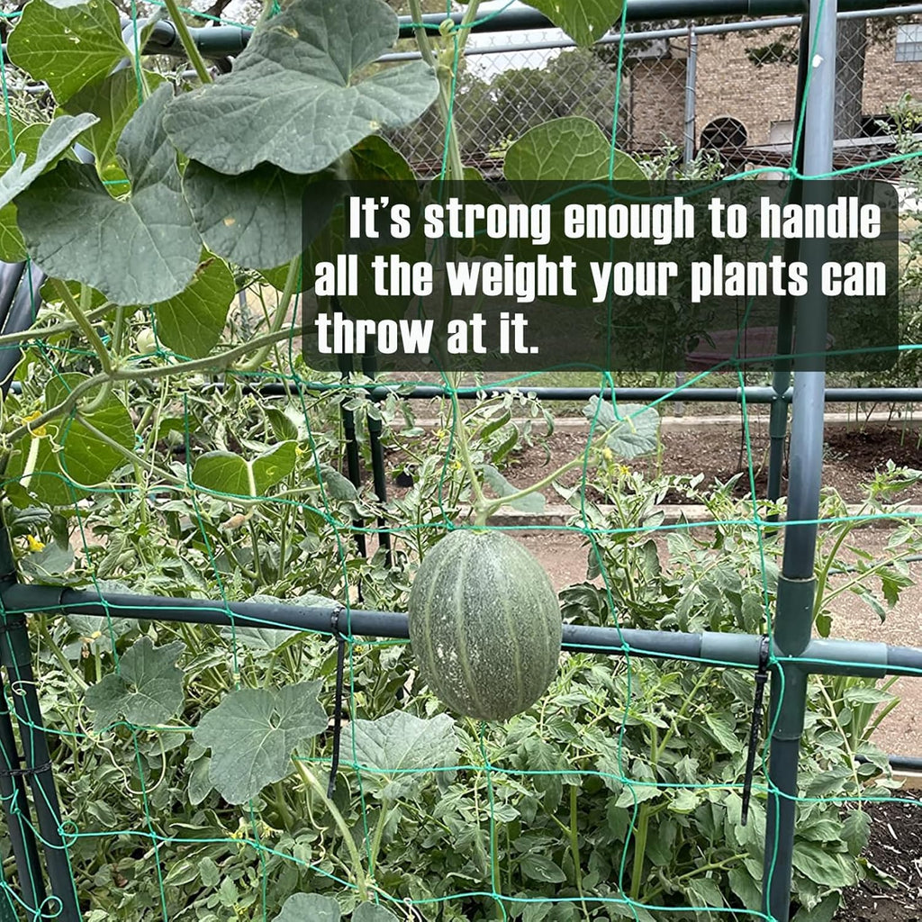 Trellis Netting, Heavy-Duty Garden Grow Netting for Climbing Plants, Outdoor Indoor Net for Cucumber, Tomatoes, Beans