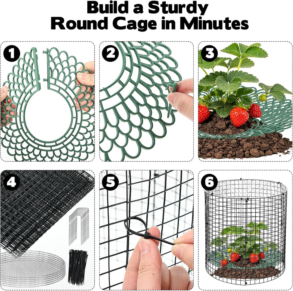 6 Pack Round Upgraded Strawberry Supports with Wire Covers Plant Protectors from Animal - All-in-One Garden Protection