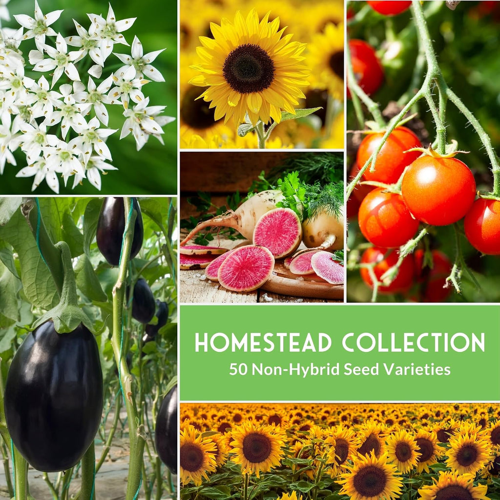 Homesteader 50 Pack Seed Vault for Planting Victory Gardens | Non-GMO Heirloom Vegetable, Fruit, Herb Seeds to Grow