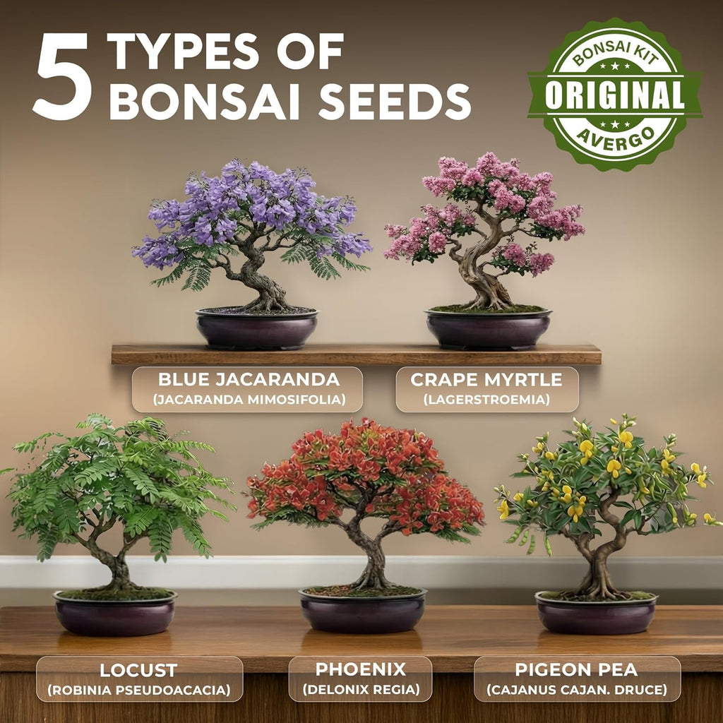 Bonsai Tree Kit Deluxe - Growing 5 Unique Japanese Bonzai Trees | Complete Indoor Bonsai Starter Kits for Growing Trees