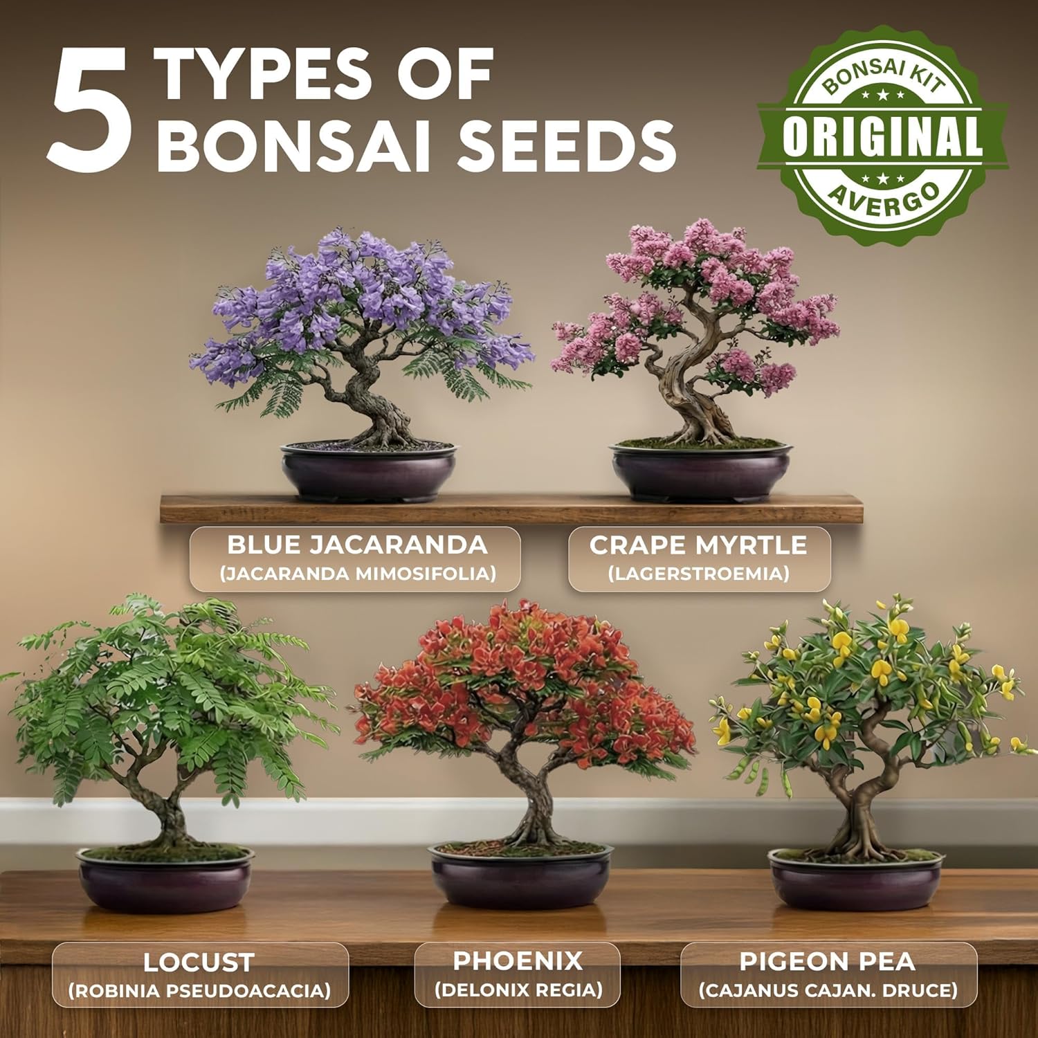 Bonsai Tree Kit Deluxe - Growing 5 Unique Japanese Bonzai Trees | Complete Indoor Bonsai Starter Kits for Growing Trees