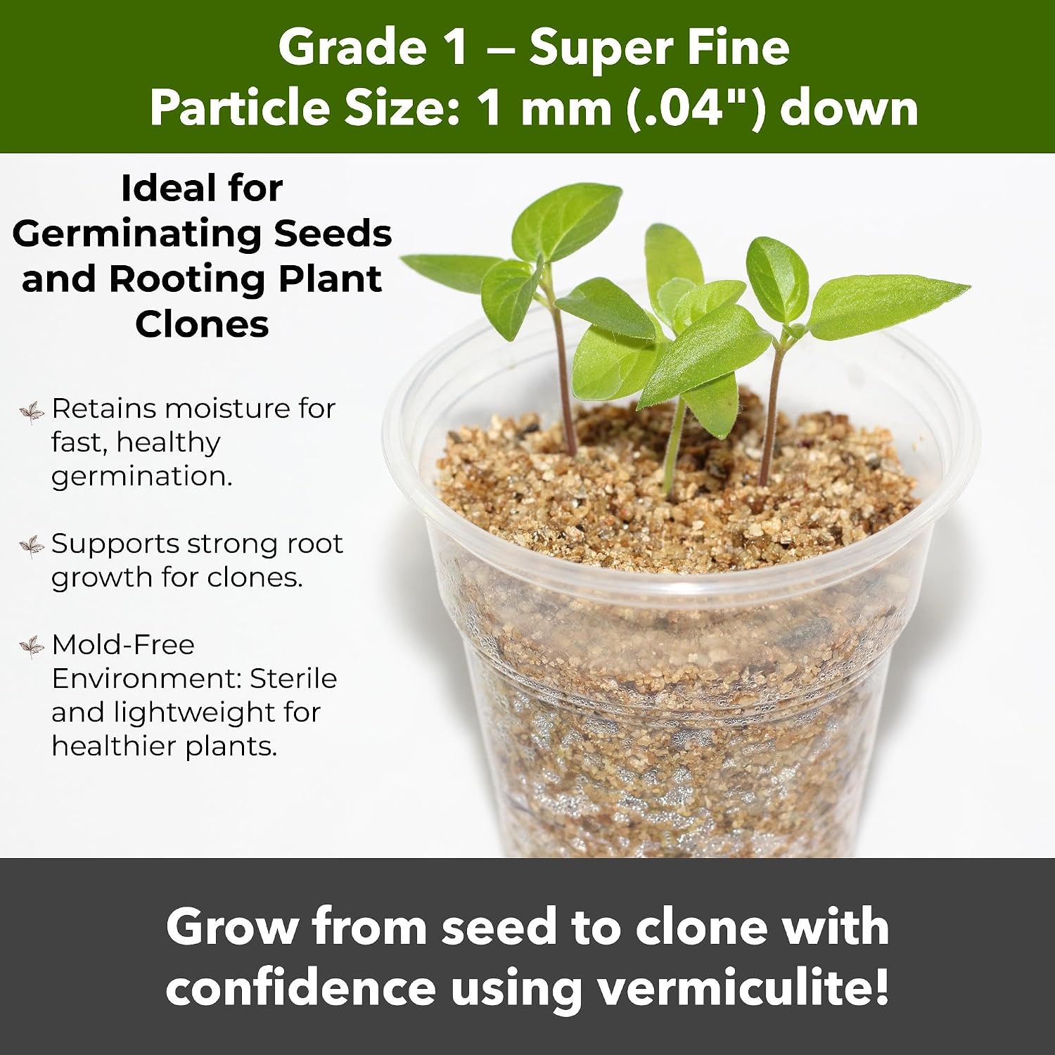 Organic Superfine Vermiculite for Indoor Gardening Plants and Mushrooms – Enhances Soil Aeration, Seed Germination