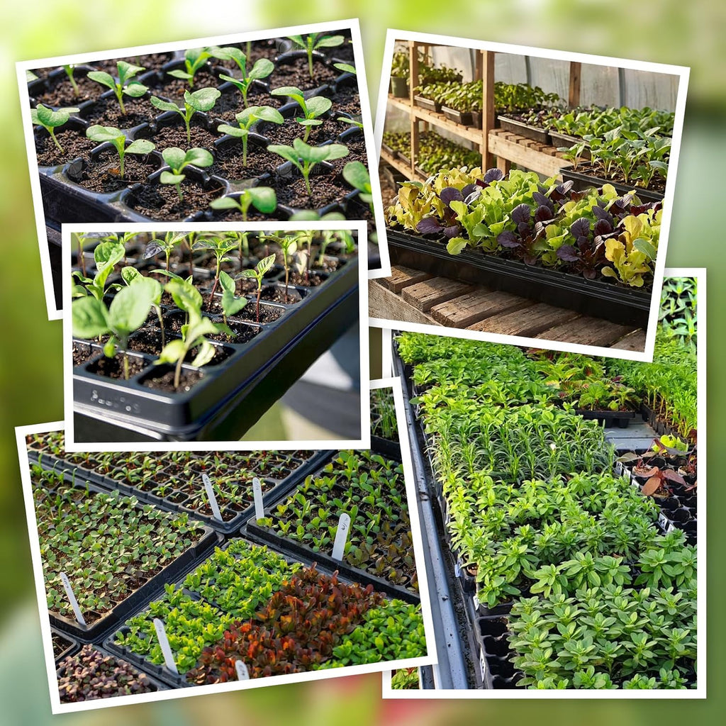 72-Cell Seed Trays with Drainage Trays-10 Sets 20 Packs-1020 Durable Plastic Plant Tray for Seed Germination（21x11x1.81