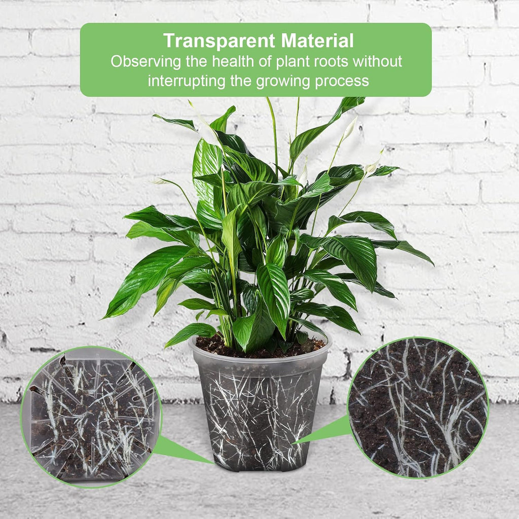 GREENPARA Clear Plant Nursery Pots with Saucer for Indoor & Outdoor Plants | 4/5/6/7/8 Inch Drainage Holes Root