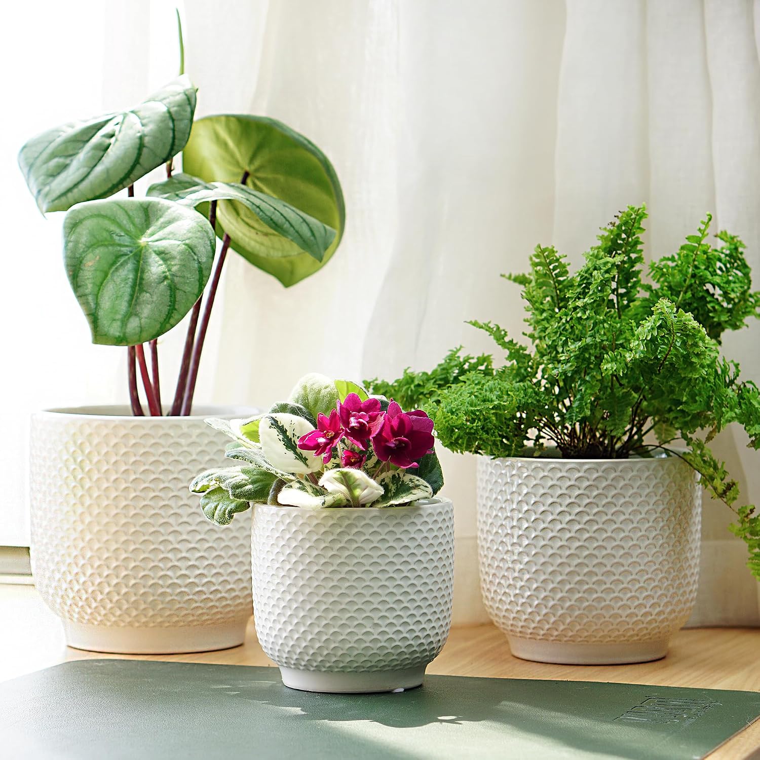 4 + 5 + 6 Inch Ceramic Pots for Indoor Plants, Succulents Plant Pots, Orchid Flower Pot with Drainage Hole, Modern Clay