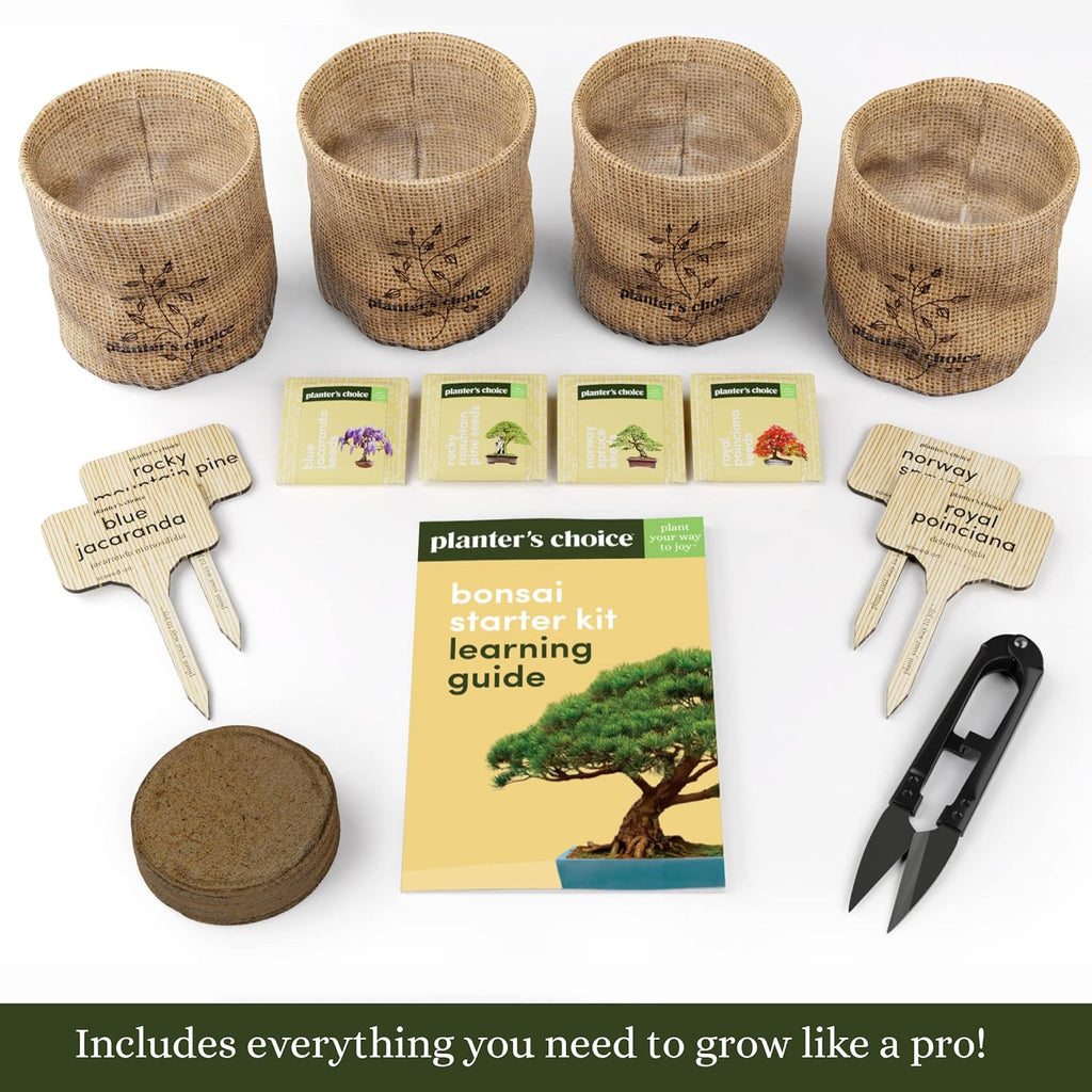 Bonsai Tree Kit for Beginners & Plant Lovers - Grow Your Own Bonsai | 4 Species Starter Kit with Burlap Pots, Shears