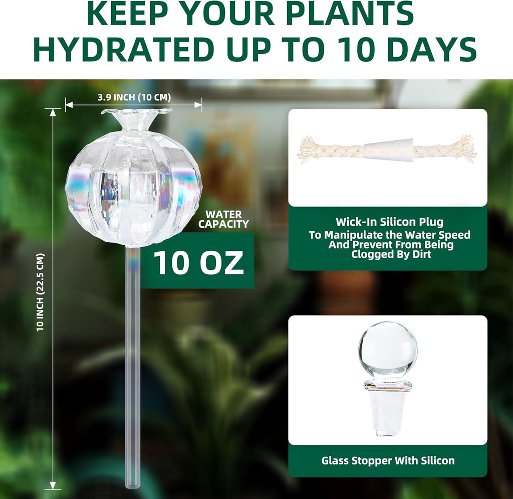 Soilagua 10 oz Large Top Fill Cactus Plant Self Watering Globes, Light Iridescent Glass Water Bulbs, Slow Release