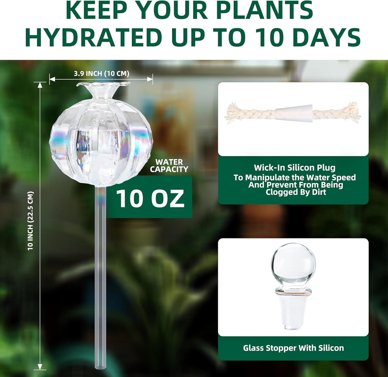Soilagua 10 oz Large Top Fill Cactus Plant Self Watering Globes, Light Iridescent Glass Water Bulbs, Slow Release