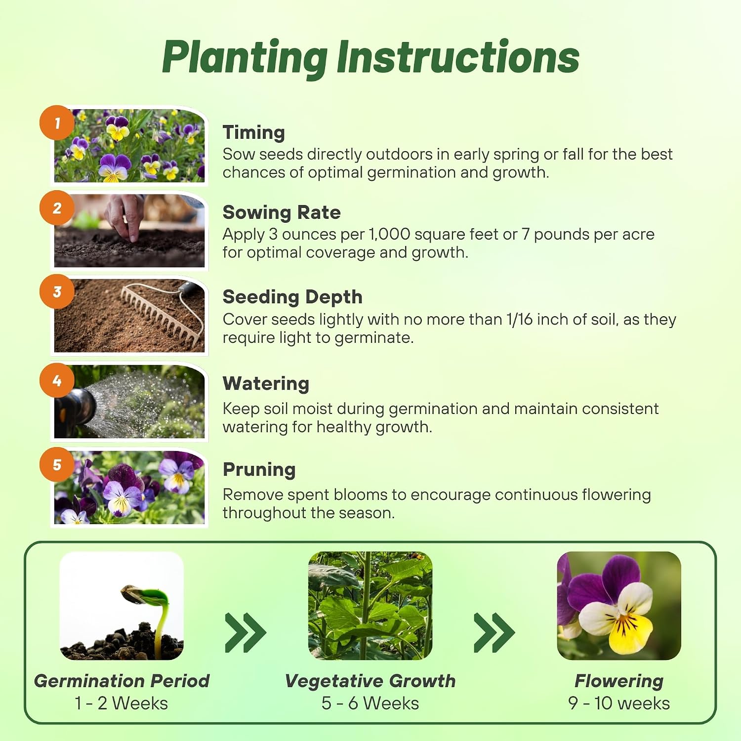 Outsidepride Johnny Jump Up Viola Wild Flower Seeds - 1/2 lb Easy-to-Grow, Compact & Hardy Perennial Seeds for Planting