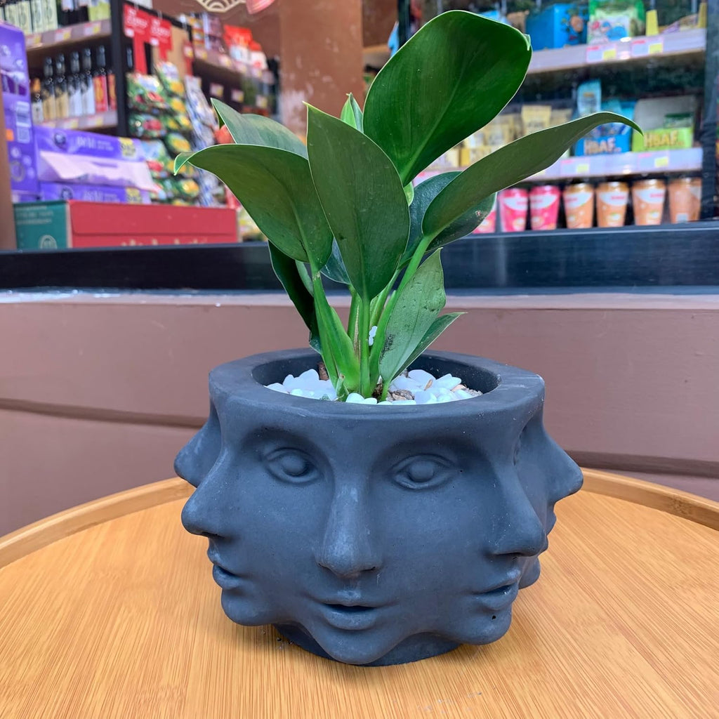 Silicone Head Face Planter Mold, Multi-Face, 8 inch Flower Pot Mold | Indoor/Outdoor, Multi-Face Shaped, Succulent