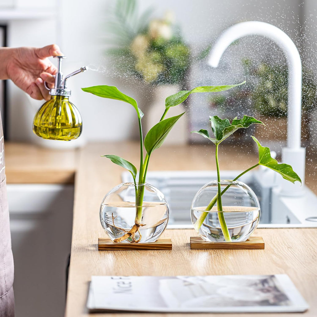Glass Planter Propagation Station with Wooden Base - Clear Oblate Hydroponic Vase, Decorative Desktop Flower Vase for