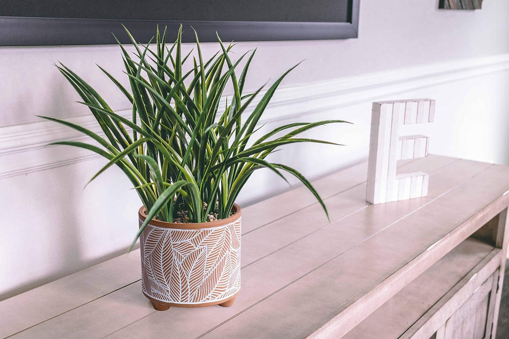 D'vine Dev 2-Pack Terracotta Pots, 4/6 in, Sahara Fern, 31-953-H-1 | Hand-Painted Details, Three-Legged Design, Natural