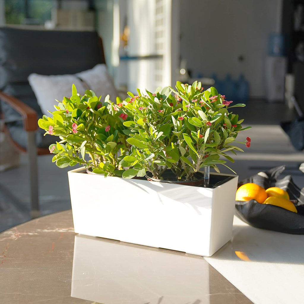 SAROSORA 14" Self Watering Planter Pots with Water Level Indicator, Rectangle Matte Plastic Window Box for Indoor