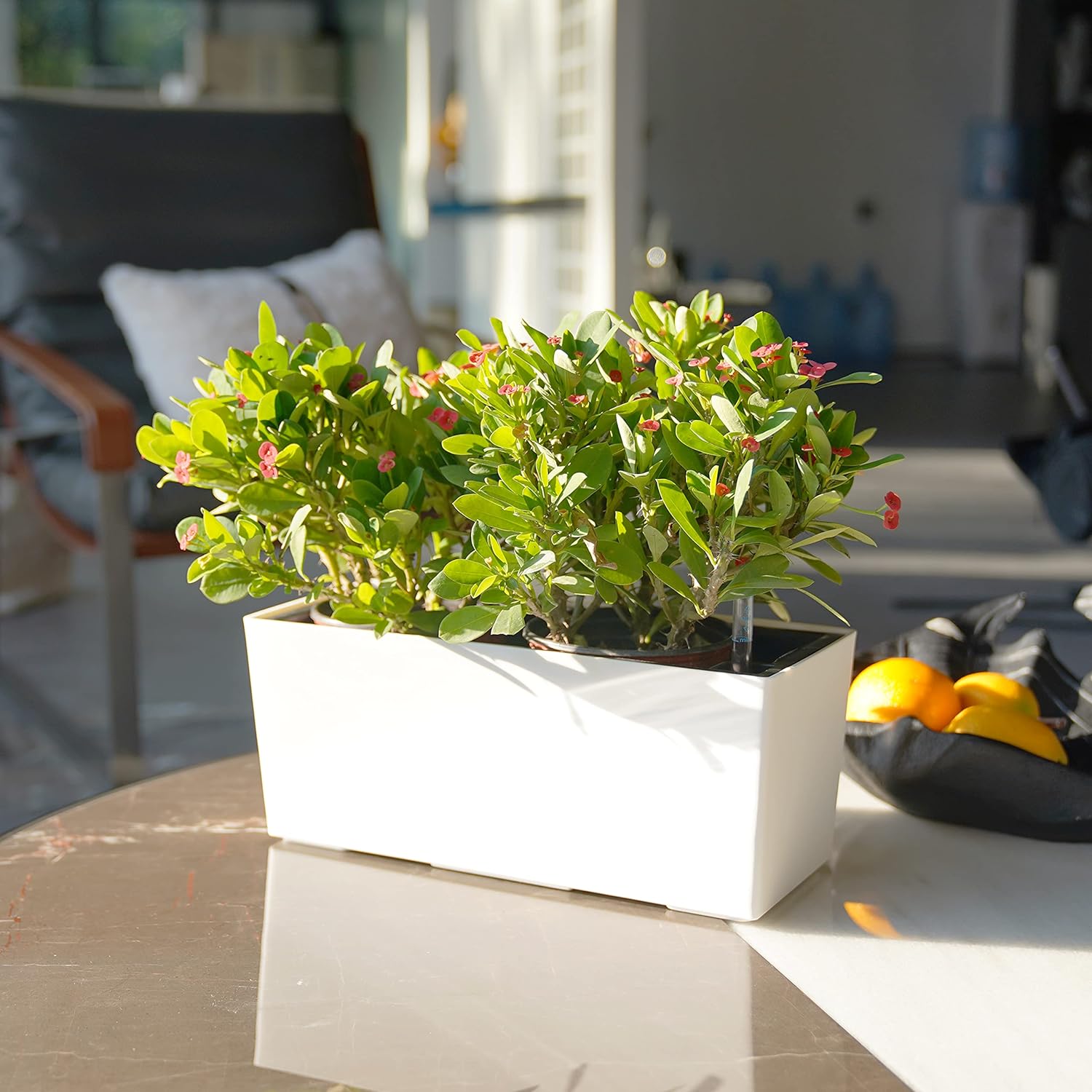 SAROSORA 14" Self Watering Planter Pots with Water Level Indicator, Rectangle Matte Plastic Window Box for Indoor